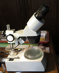 binoculaire