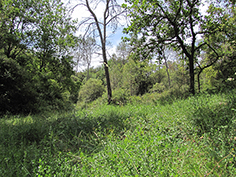 biotope